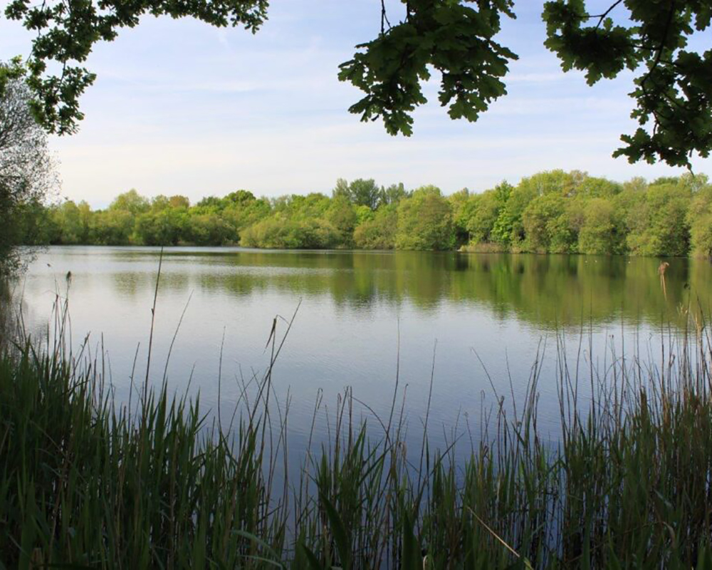 Golf Course Lakes - Uxbridge Rovers Angling and Conservation Society